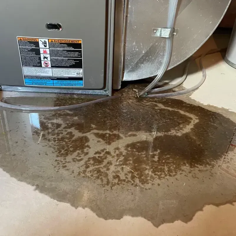 Appliance Leak Cleanup in Brooklet, GA